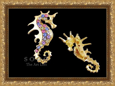 ������� ����� "Rainbow Sea Horse"
